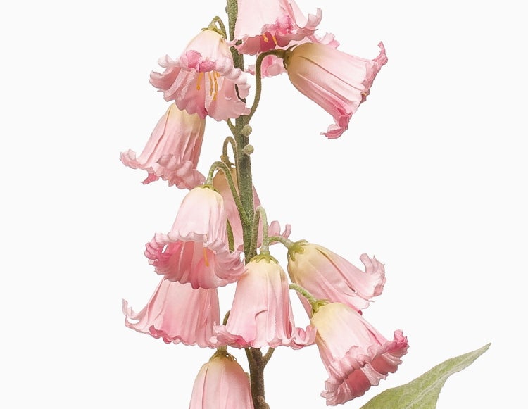 Kunstblume mit rosa glockenförmigen Blüten und grünen Blättern