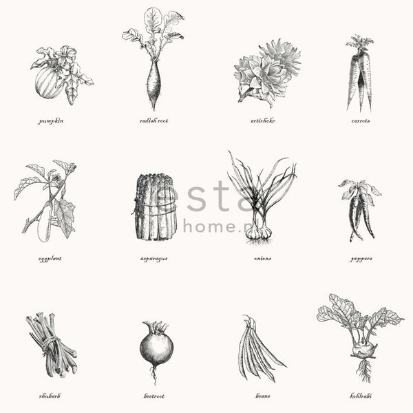 Illustration verschiedener Gemüsesorten: Kürbis, Rettich, Artischocke, Karotten, Aubergine, Spargel, Zwiebeln, Paprika, Rhabarber, Rote Bete, Bohnen und Kohlrabi.