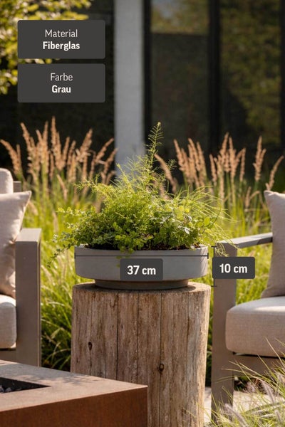 Graue Pflanzschale aus Fiberglas mit einem Durchmesser von 37 Zentimeter und einer Höhe von 10 Zentimeter in einer Gartenszene.