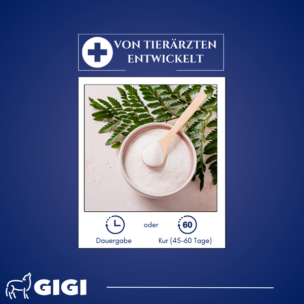 Ergänzungsfuttermittel für Tiere, von Tierärzten entwickelt