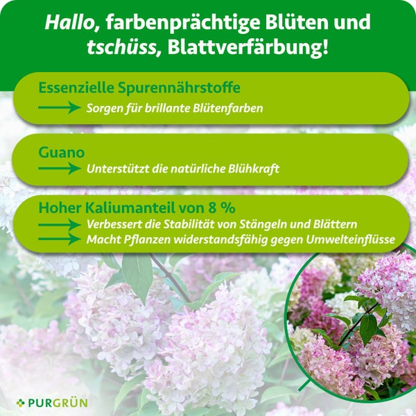 Infografik zu Pflanzendünger mit Vorteilen wie Spurennährstoffen, Guano und 8 Prozent Kalium für die Blüten und Pflanzenstabilität. Purgrün Logo.
