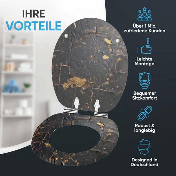 WC-Sitz mit Absenkautomatik Shield