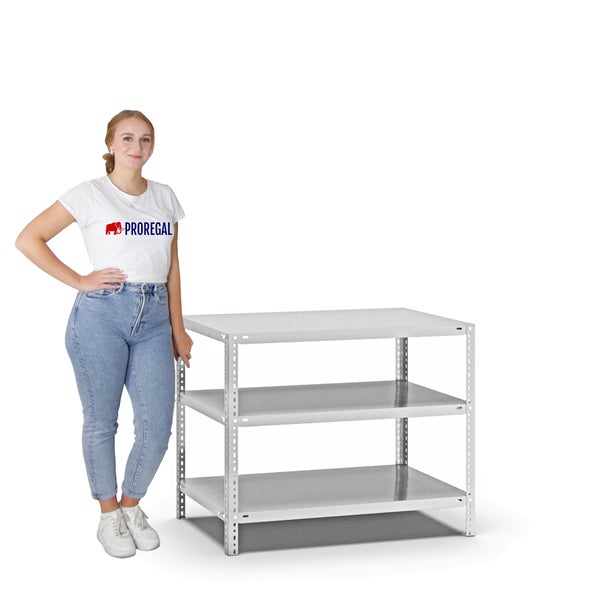 PROREGAL Fachbodenregal Schraubsystem Light-Duty Grundregal HxBxT 80 x 100 x 60 cm 3 Ebenen Fachlast 125 kg Beidseitig Nutzbar Lichtgrau