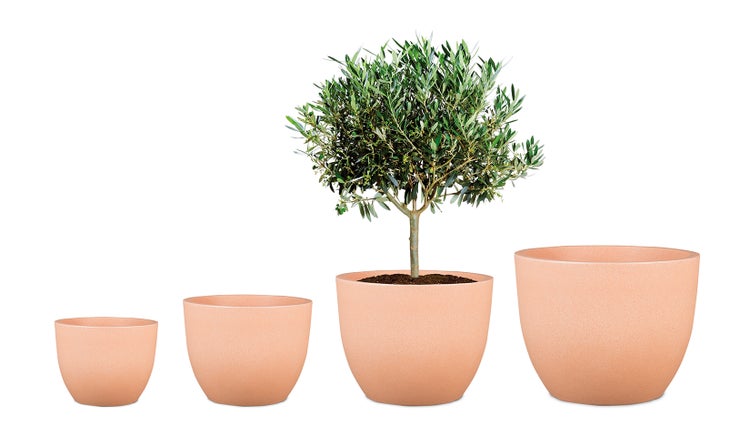 Scheurich Firenze 40, Pflanzgefäß/Blumentopf/Pflanzkübel, rund,  aus Kunststoff Farbe: Terracotta, 39,6 cm Durchmesser, 30,7 cm hoch, 24 l Vol.
