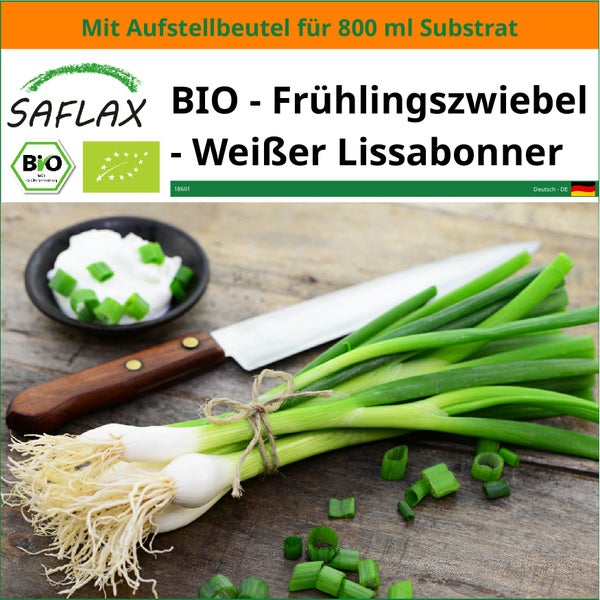 SAFLAX Garden in the bag - BIO - Frühlingszwiebel - Weißer Lissabonner - Allium cepa - 150 Samen - Mit Anzuchtsubstrat im praktischen, selbst aufstellenden Beutel