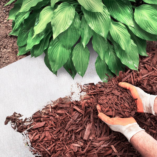 FLOORDIREKT Unkrautvlies Ground Control - Weiß - Universales Mulchvlies - Rollenware - 50 g/m² - 1,5 x 9 m