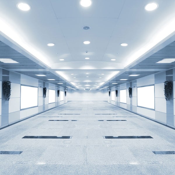 Bürogebäude-Flur mit Beleuchtung und Pflanzendekoration