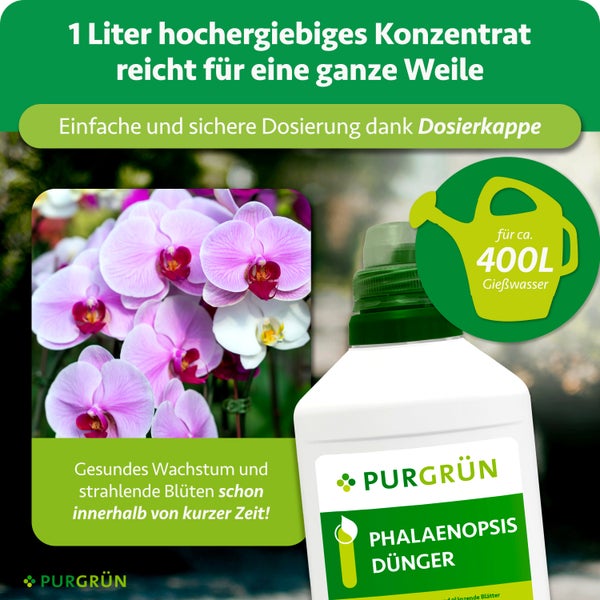 Purgrün Phalaenopsis Dünger Konzentrat 1 Liter für circa 400 Liter Gießwasser, mit Dosierkappe und Orchideenblüten. Purgrün Logo.