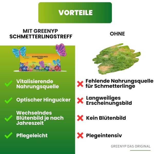 Greenyp Schmetterlingstreff Blumenmischung I 100g für 100m² I Schmetterlingswiese Schmetterlinge & Bienen I I Blumensamen Mischung ein- & mehrjährig