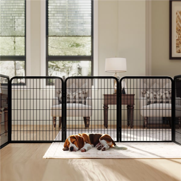 Innenaufnahme eines Wohnzimmers mit einem schlafenden Hund vor einem schwarzen Metall-Hundegitter
