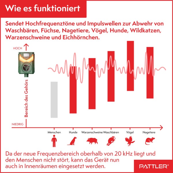 PATTLER® Solar Tierschreck, Marderschreck, Hundeschreck - Bewegungssensor mit 10m Reichweite - Flammenlicht zur Abschreckung - effektiv gegen Hunde, Vögel, Marder – 1 Stück