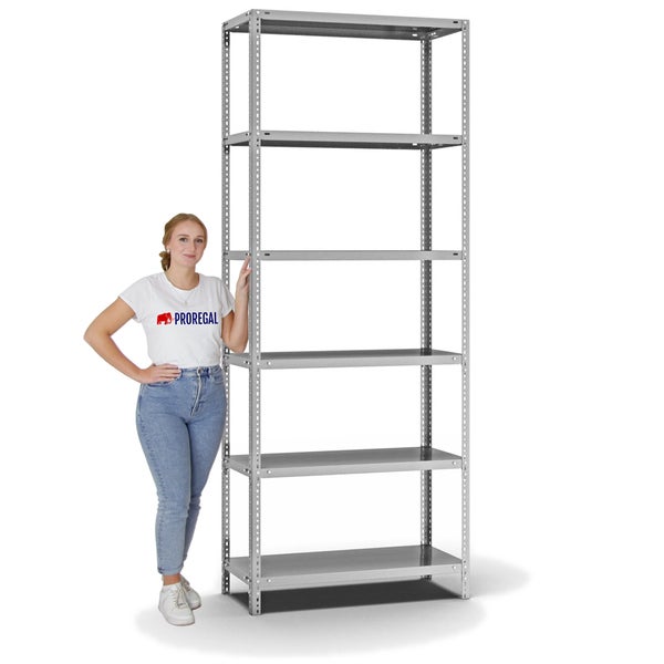 PROREGAL Fachbodenregal Schraubsystem Light-Duty Grundregal HxBxT 250 x 100 x 40 cm 6 Ebenen Fachlast 125 kg Beidseitig Nutzbar Verzinkt