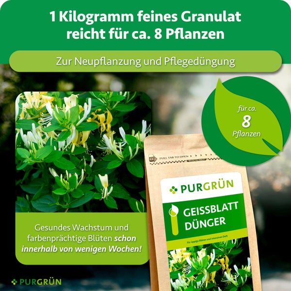 Geissblatt Dünger Granulat von Purgrün im wiederverschließbaren Beutel für 8 Pflanzen zur Neupflanzung und Pflegedüngung.