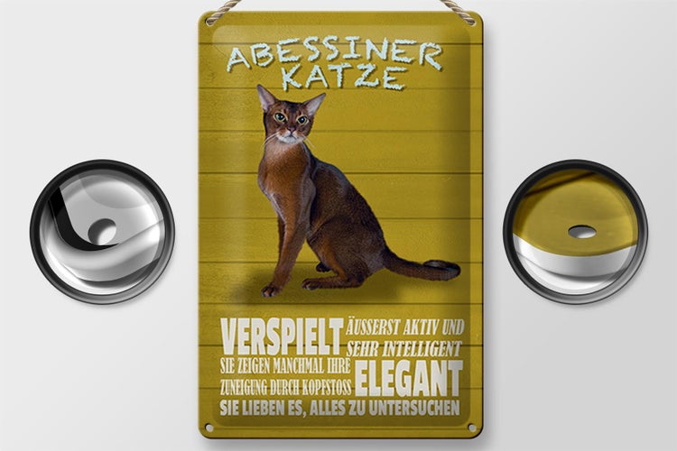 Blechschild Spruch 20x30cm Abyssiner Katze verspielt