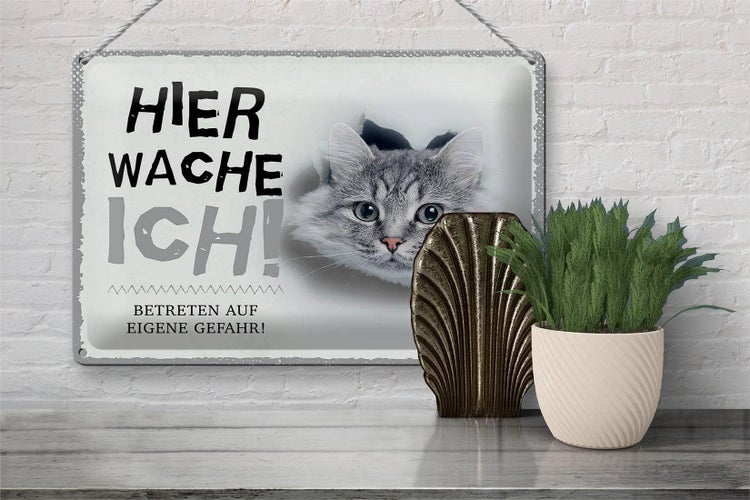 Blechschild Spruch 30x20cm Katze hier wache eigene Gefahr