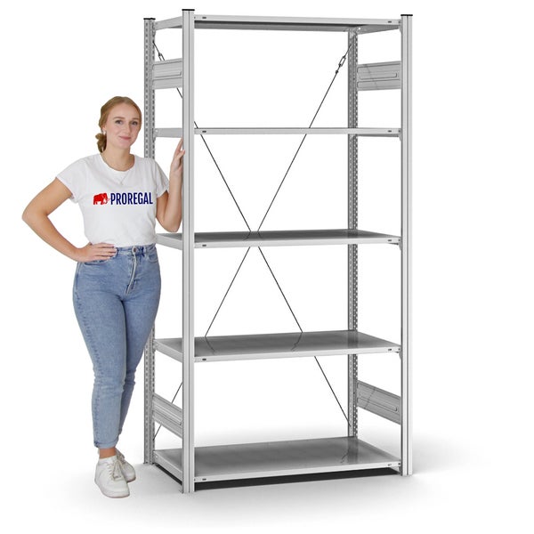 PROREGAL Profi Lagerregal Stecksystem T-Profil Grundregal HxBxT 200 x 100 x 50 cm Fachlast 125 kg Verzinkt