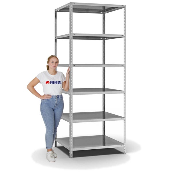 PROREGAL Fachbodenregal Schraubsystem Medium-Duty Grundregal HxBxT 250 x 100 x 80 cm 6 Ebenen Fachlast 200 kg Beidseitig Nutzbar Verzinkt