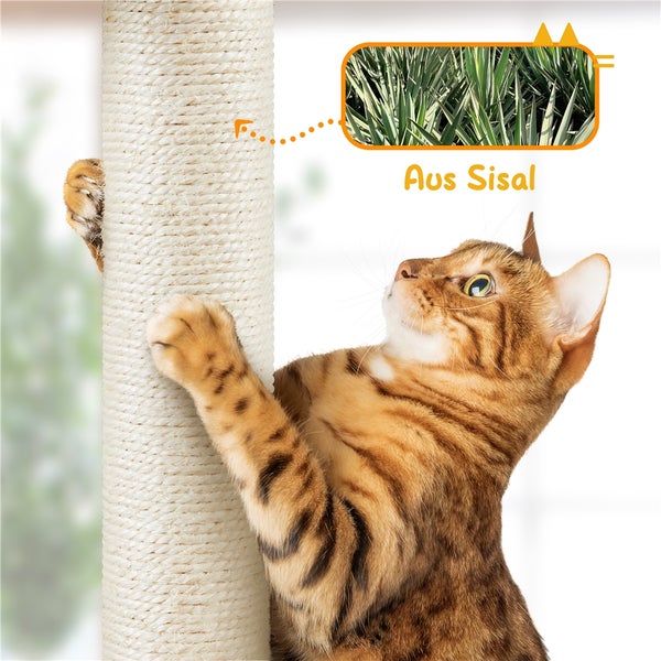 Katze kratzt an einem Kratzbaum aus Sisal
