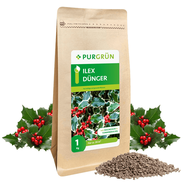 Purgrün Ilex-Dünger 1 kg