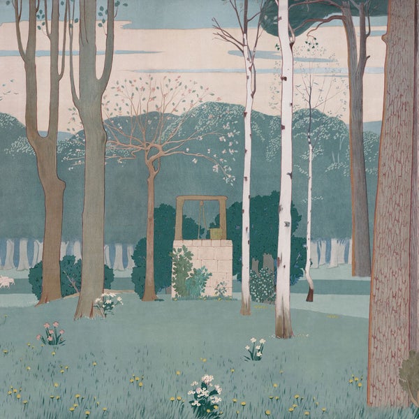 Illustration einer Waldszene mit Bäumen, Wiese und einem Brunnen