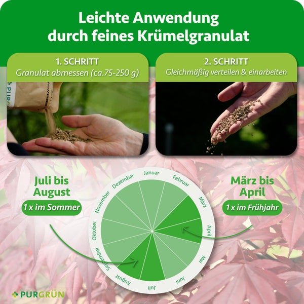 Anwendungshinweise für Purgrün Granulat mit bebilderter Schritt für Schritt Anleitung und Jahreskalender für die optimale Düngezeit.