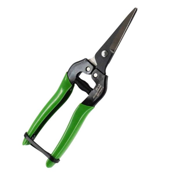 Blumenschere