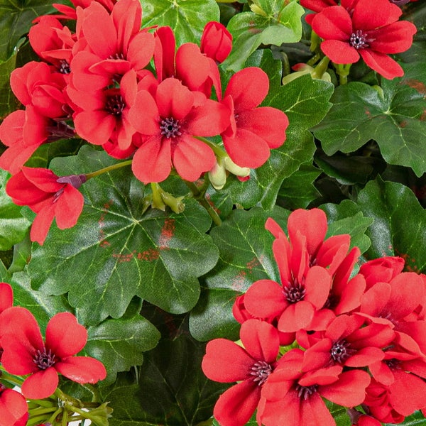 Künstliche Geranie mit roten Blüten und grünen Blättern.