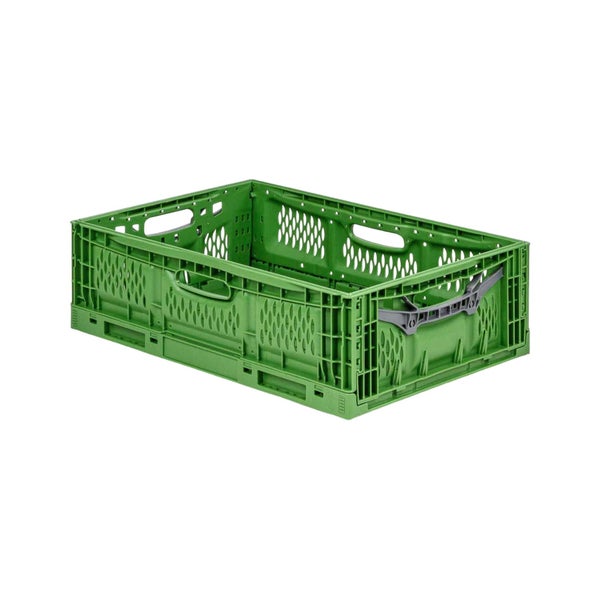 PROREGAL SuperSparSet 5x Stabile Profi-Klappbox Chameleon in Industriequalität HxBxT 18 x 40 x 60 cm 35 Liter klappbar stapelbar