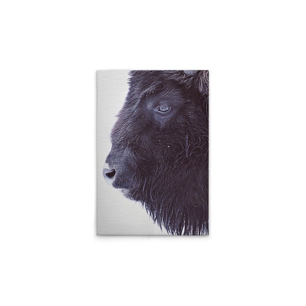 Gemälde mit dem Profil eines Bisons