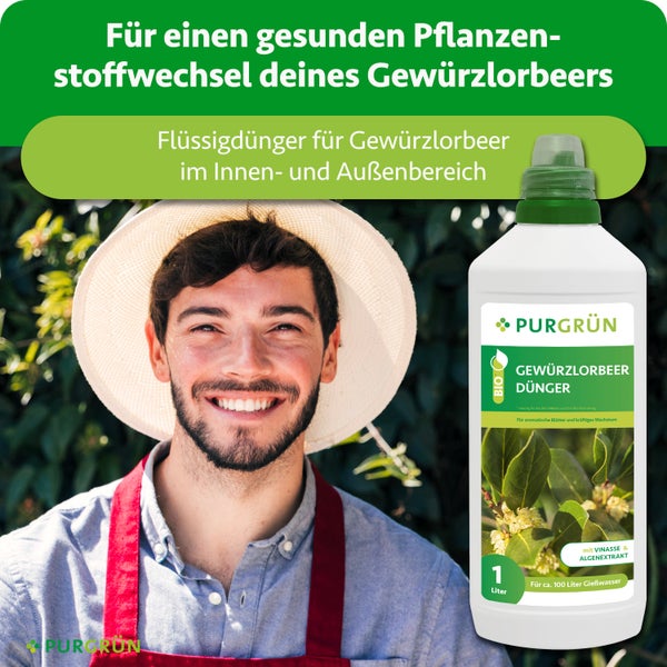 Infografik zu Pflanzendünger mit Vorteilen von Vinasse, Algenextrakt und Kalium für gesunde Blätter. Purgrün Logo.