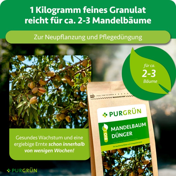 Dekorativer Kamingitter mit Rankenmuster für den Innenbereich