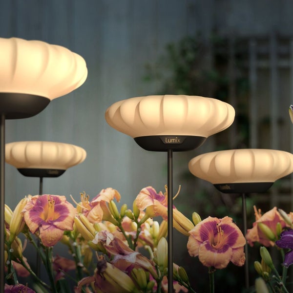 Szene mit mehreren Gartenleuchten zwischen Blumen