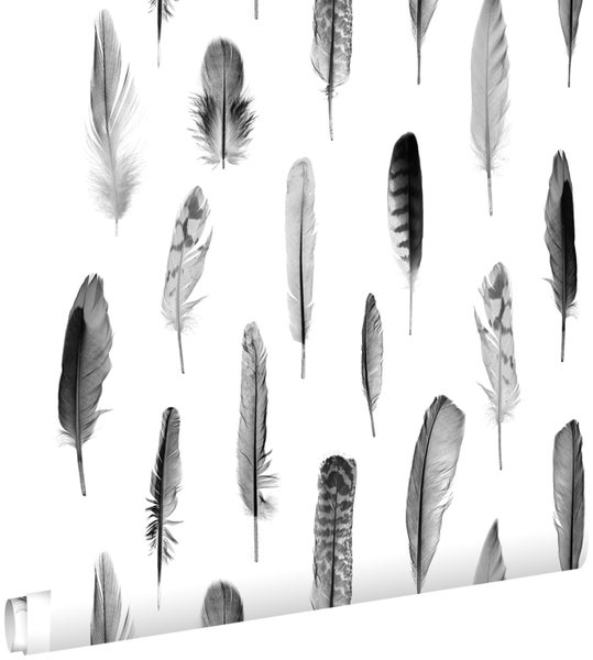 Tapetenrolle mit Federmuster