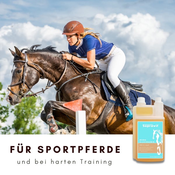 Szene mit einer Reiterin auf einem springenden Pferd und einem Ergänzungsfuttermittel für Sportpferde