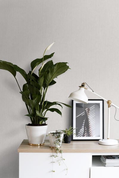 Helle Inneneinrichtung mit Zimmerpflanzen, Tischlampe und gerahmtem Bild auf einer Kommode vor einer hellen Wand