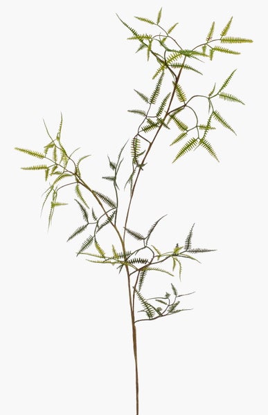 Nahaufnahme von grünen Pflanzenstielen und Schoten einer Kunstpflanze.