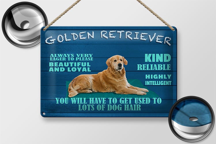 Blechschild Spruch 30x20cm Golden Retriever Hund very eager