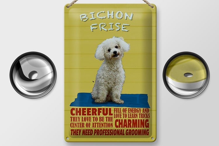 Blechschild Spruch 20x30cm Hund Bichon Frise cheerful