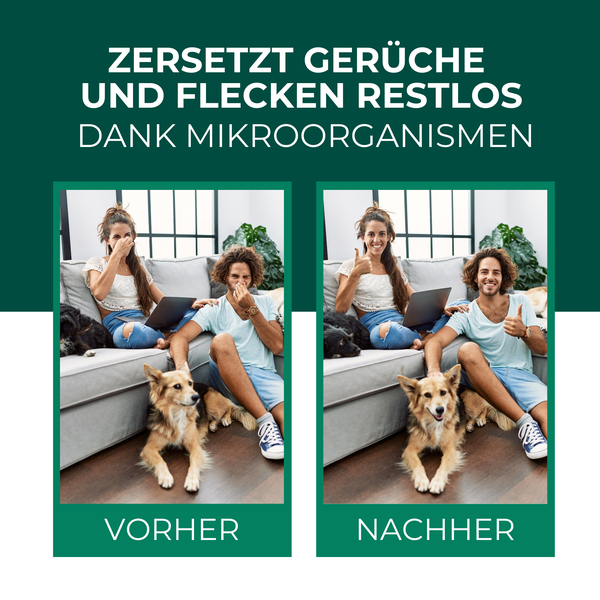 Silberkraft Enzymreiniger Spray 500 ml, Starker Geruchsentferner, Fertige Lösung gegen Hundeurin und Katzenurin, Geruchsneutralisierer sofort wirksam – Ideal für Katzenklos, Teppiche, Sofas und viel mehr