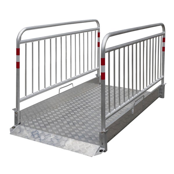 Aluminium-Rollstuhlrampe mit Geländer