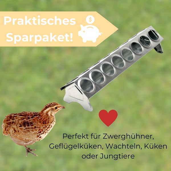 Futterautomat für Geflügel und Wachteln