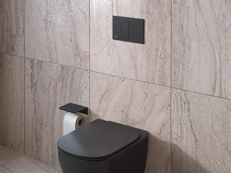 Badezimmer mit WC, Toilettenpapierhalter und Betätigungsplatte