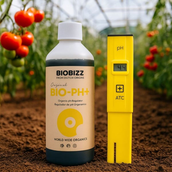 Biobizz Bio-pH Plus organischer pH-Regulator Flasche neben einem digitalen pH-Messgerät in einem Gewächshaus mit Tomatenpflanzen.