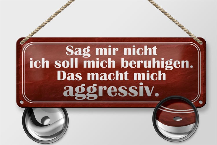 Blechschild Spruch 27x10cm sag nicht soll mich beruhigen Dekoration
