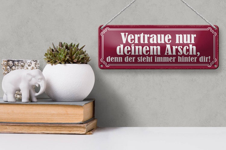 Blechschild Spruch 27x10cm vertraue nur deinem Arsch denn Dekoration