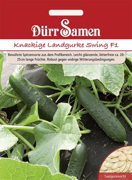 Dürr Samen Logo. Samentüte für Landgurke Swing F1 mit Abbildung von Gurken an der Pflanze und einer Nahaufnahme der Samen.