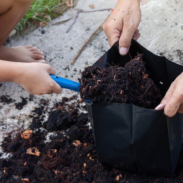 Person füllt Blumenerde mit einer blauen Handschaufel in einen schwarzen Pflanzsack.