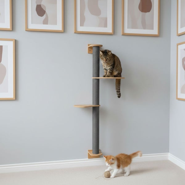 Wandmontierter Kratzbaum mit Sisalsäule und zwei Holzregalen an einer hellen Wand mit einer Katze darauf und einem Kätzchen am Boden.