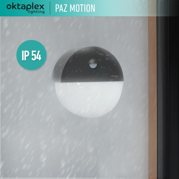 Wandlampe mit Bewegungsmelder warmweiß 3000K 1000 Lumen IP54 10W  anthrazit Außenleuchte 230V