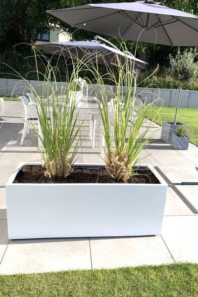 Weißer rechteckiger Pflanzkasten mit Ziergräsern auf einer modernen Terrasse mit Gartenmöbeln und einem grauen Sonnenschirm.